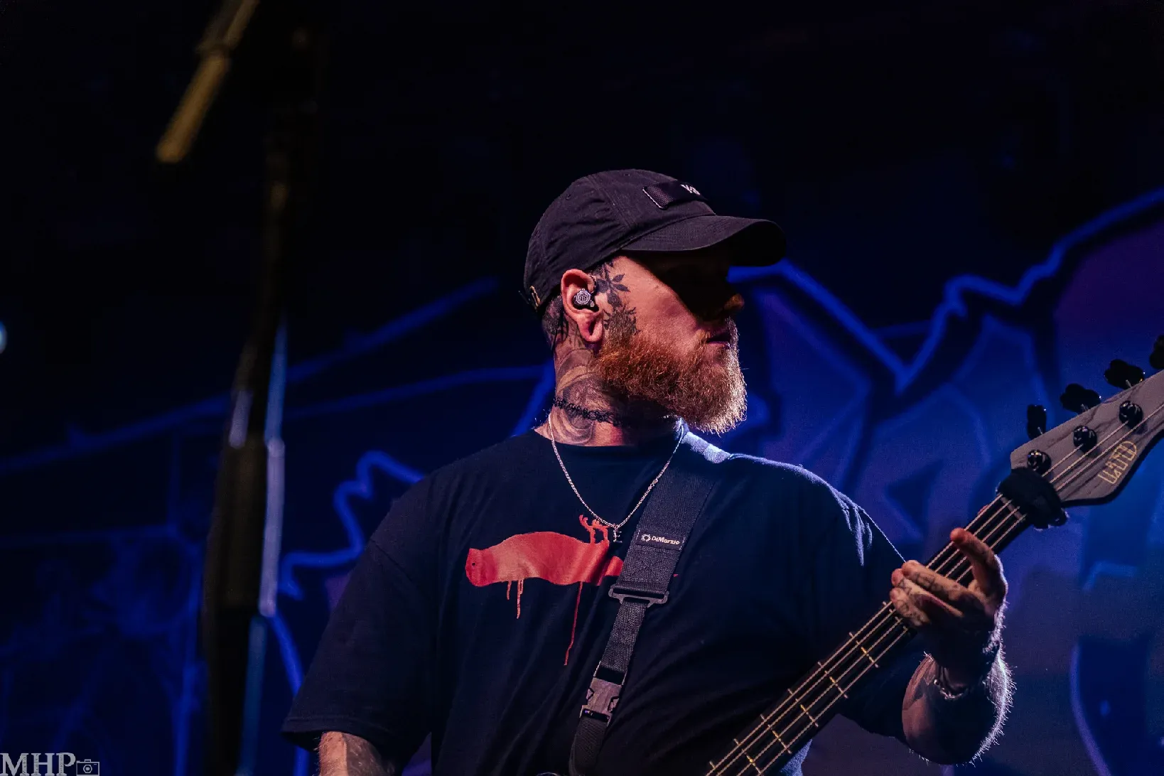 AlphaWolf_Frankfurt_004 AlphaWolf_Frankfurt_004