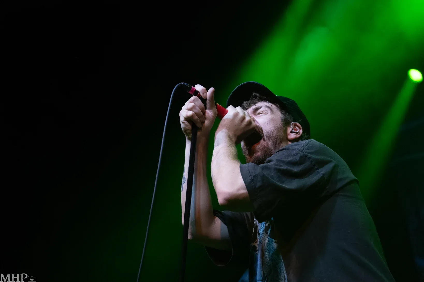 AlphaWolf_Frankfurt_005 AlphaWolf_Frankfurt_005