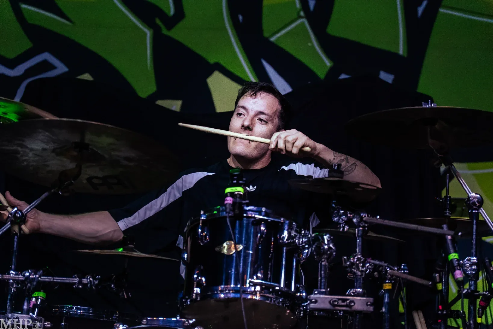 AlphaWolf_Frankfurt_009 AlphaWolf_Frankfurt_009