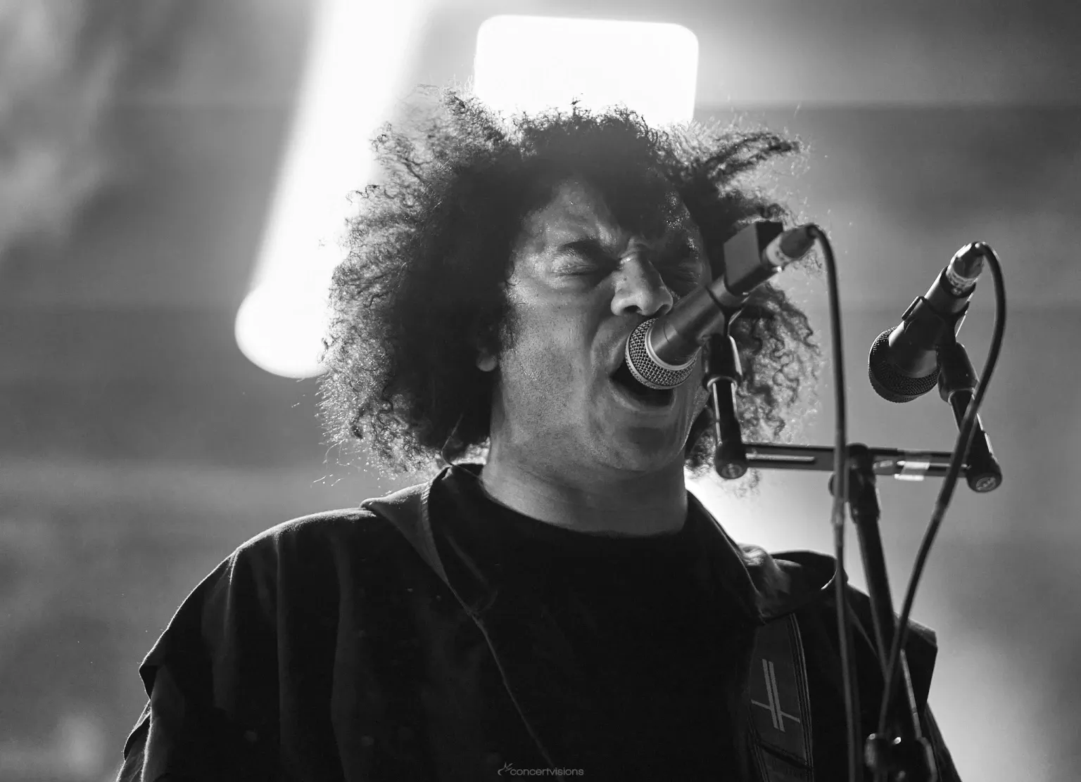 ZealArdor_NOAF2025_014