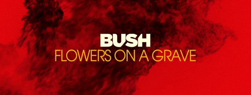 Bush