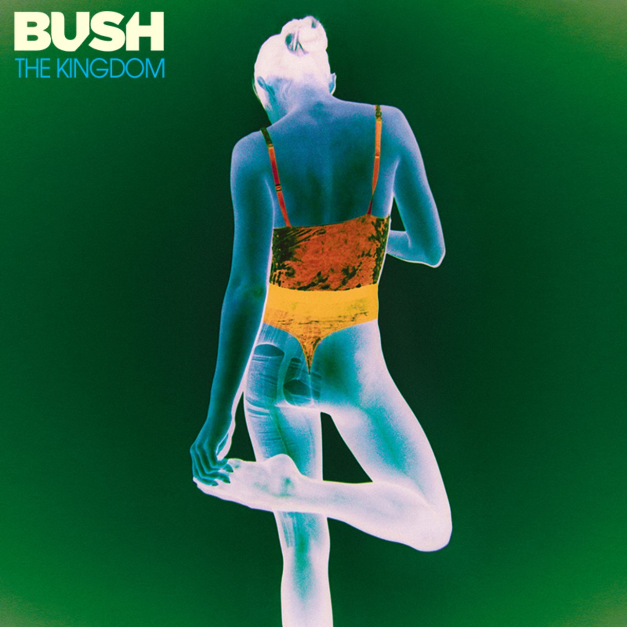 bush