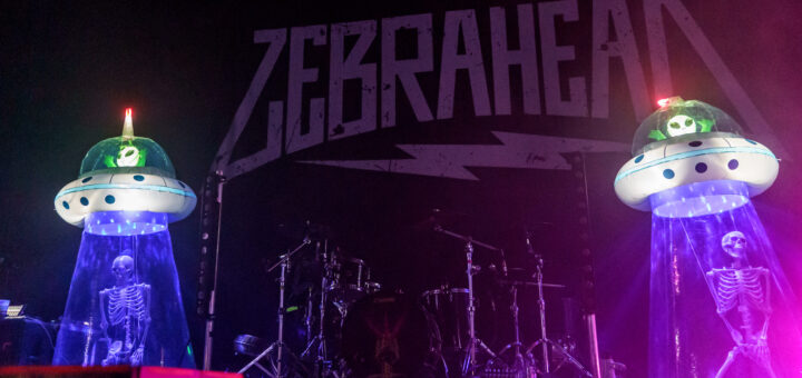Zebrahead