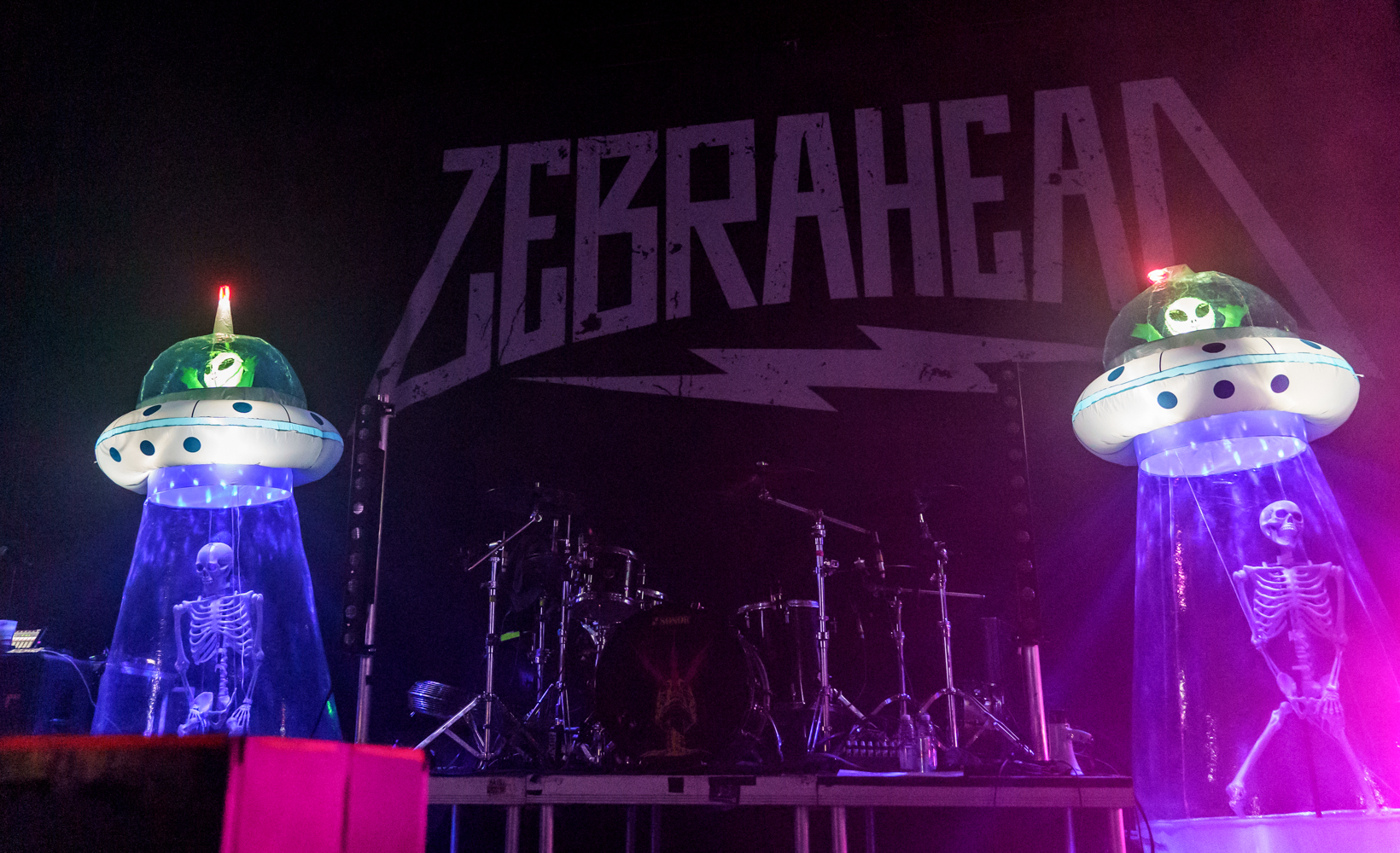 Zebrahead