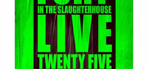 Fury In The Slaughterhouse
