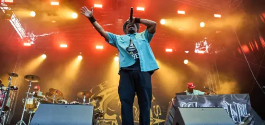 Cypress Hill, Sommerwiese Jahrhunderthalle Frankfurt