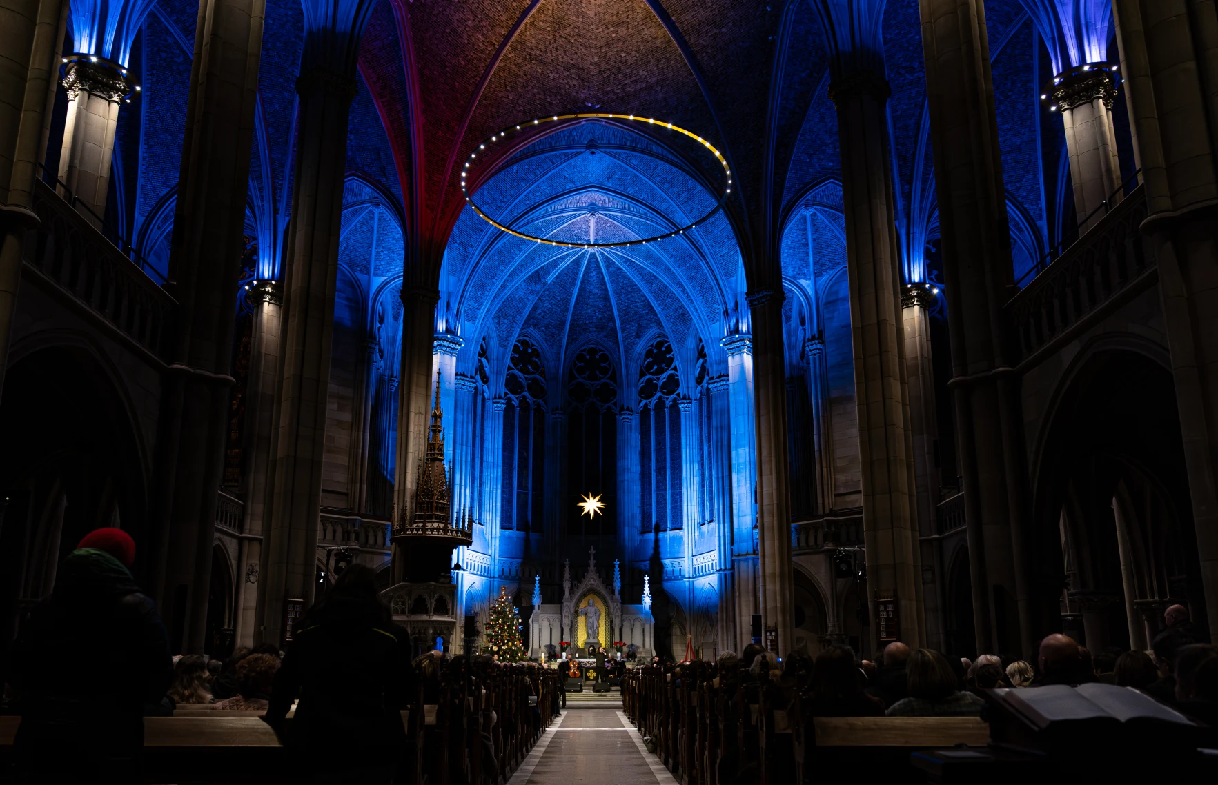 The Dark Tenor, Speyer, 2025