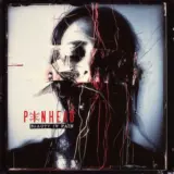 Pinhead Beauty in Pain - new album in November