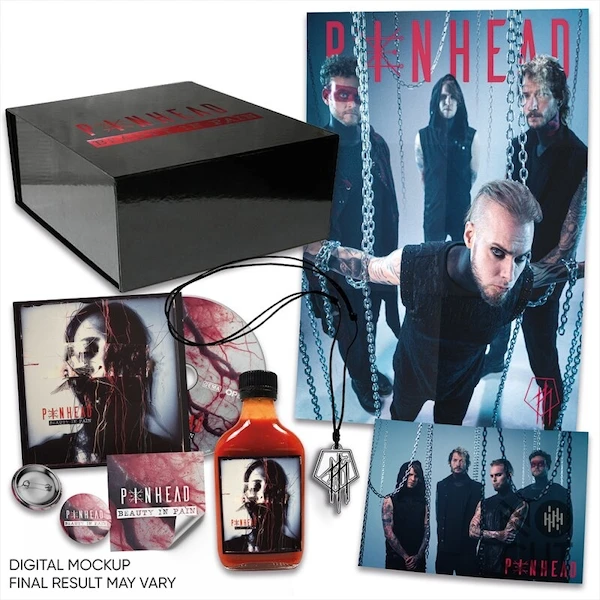 Pinhead Beauty In Pain new album