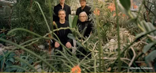 Element Of Crime, Main Summer In The City 2026